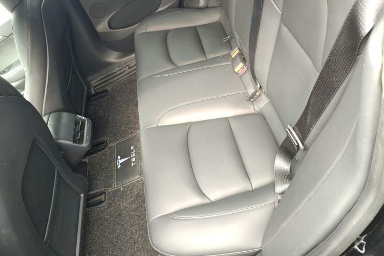 Used Tesla Model 3 2021 Standard Range Rear-Wheel Drive Upgraded Version 3D6
