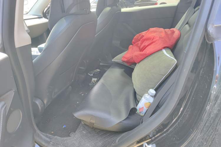 Used Tesla Model Y 2021 Standard Range Rear-Wheel Drive Version