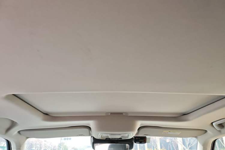 Used Tank 300 2021 Off-Road Edition 2.0T Conqueror