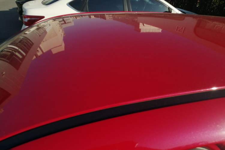 Used ORA Black Cat 2019 301km Standard Edition