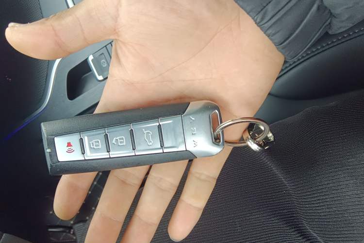 Used Wey VV7 2020 2.0T Ultra-Luxury Version
