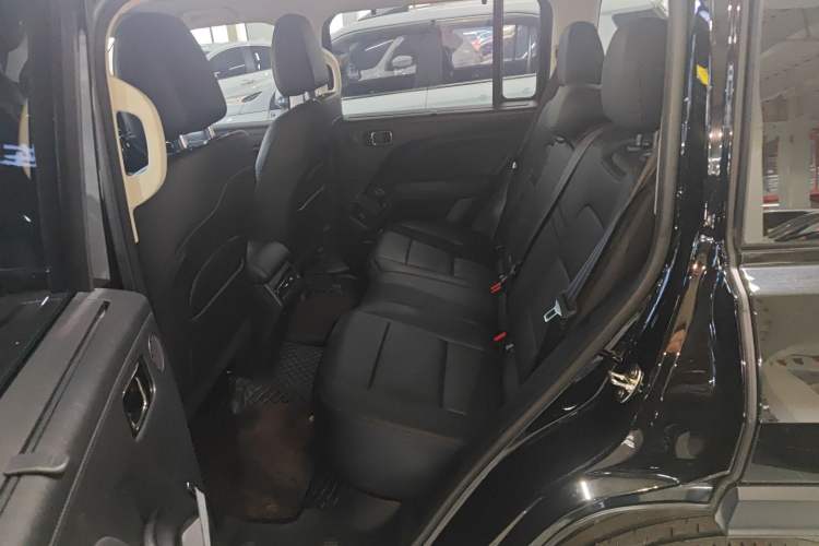 Used Haval Raptor New Energy 2024 Hi4 145 Cross-Over Edition Left Rear Seat