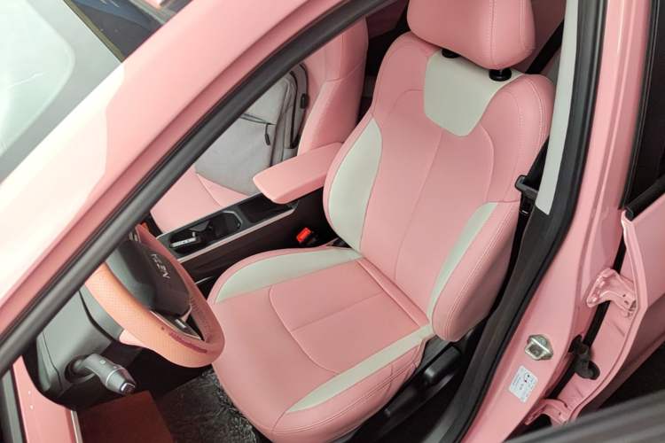 Used NETA V 2022 Chao 400 Lite Pink Custom Edition Left Front Seat