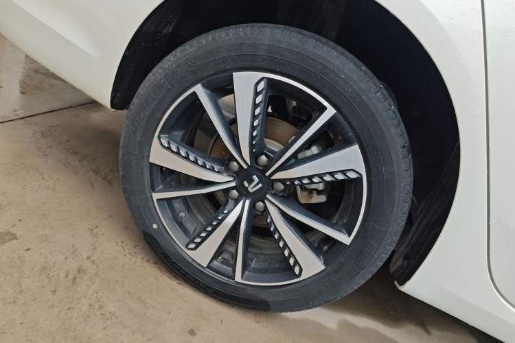 Used Rising ER6 2021 New Dynamic Edition 620km Smart Drive Version
