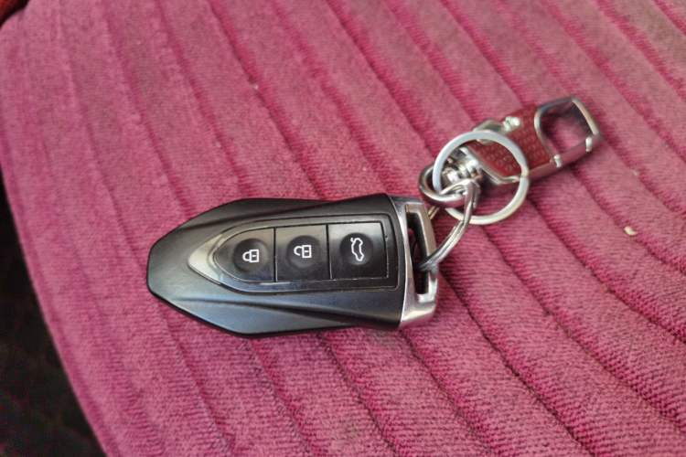 Used Leopaard CS9 2018 1.5T CVT Jingrui Model
