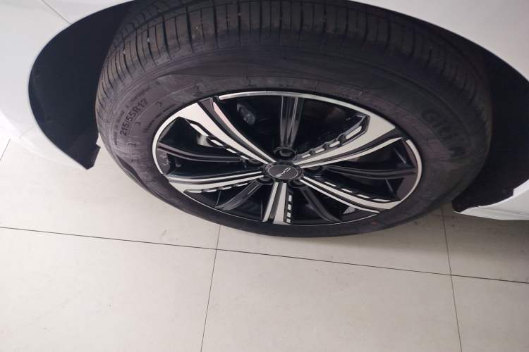 Used BYD Destroyer 05 2023 Champion Edition DM-i 120KM Prestige Model
