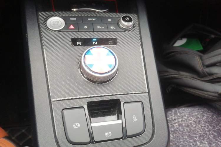 Used BYD e2 2020 Upgraded Version Long-Range Edition Luxury Model Gear Lever