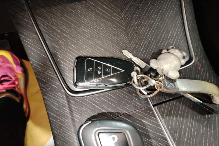 Used Venucia V 2021 260T Tianwang Edition
