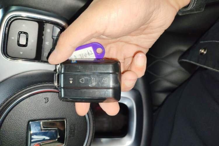 Used Tank 300 2024 2.0T Challenger