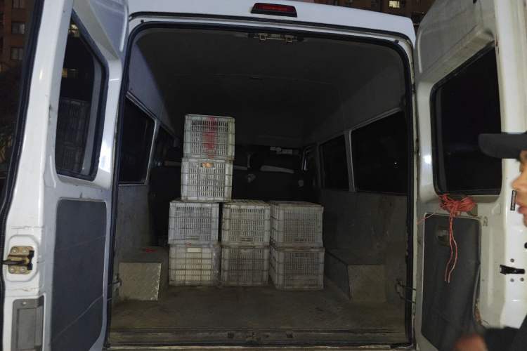 Used Iveco Power Daily 2017 2.5T Classic A32 Mid-Roof 6-7 Seater Bus 47Z5
