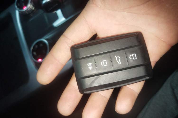 Used Tank 300 2022 2.0T Border Limited Edition