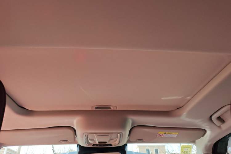 Used Tank 300 2024 2.0T Conqueror