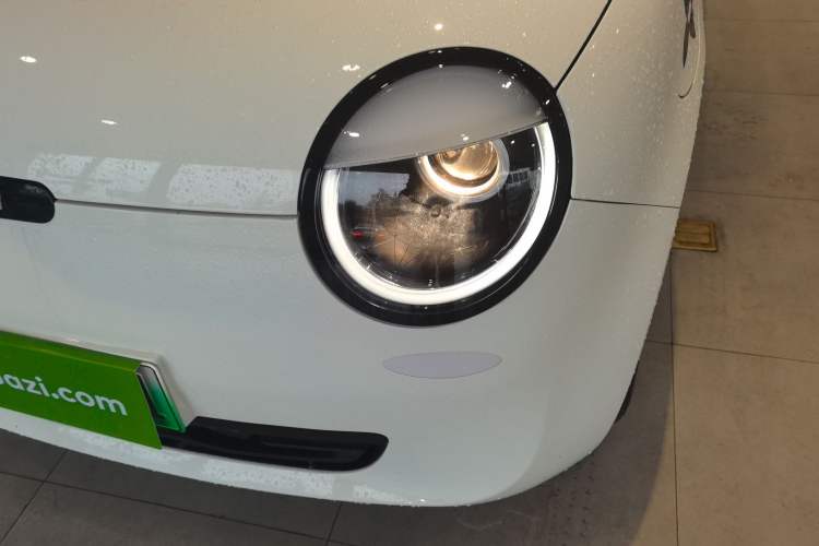 Used Qiyuan Lumin 2023 205km Xiangqin Version