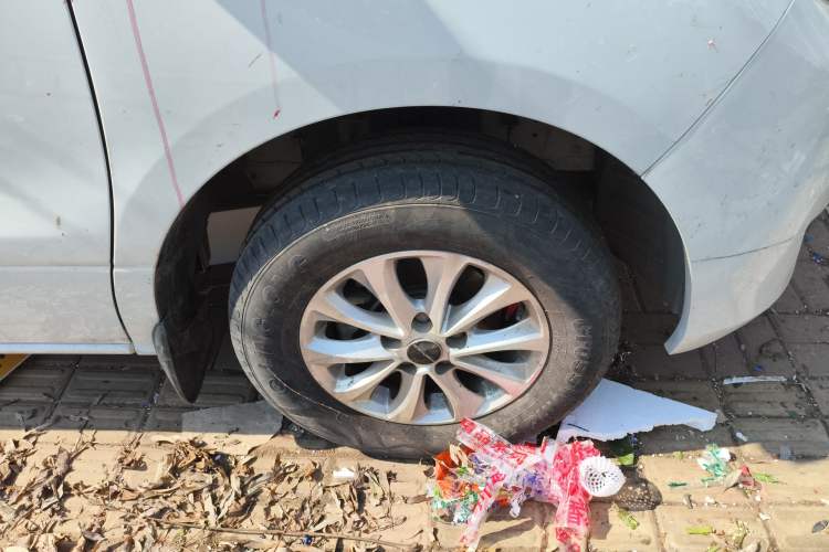 Used FORTHING Lingzhi PLUS 2021 2.0L Manual Comfort Version 7 Seats