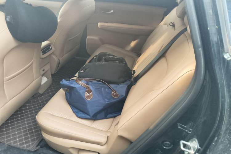 Used Landian E5 PLUS 2025 165 km Long-Range Version PLUS 7-Seater