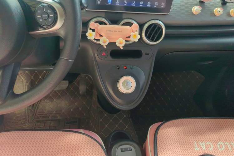 Used ORA Black Cat 2019 301km Standard Edition