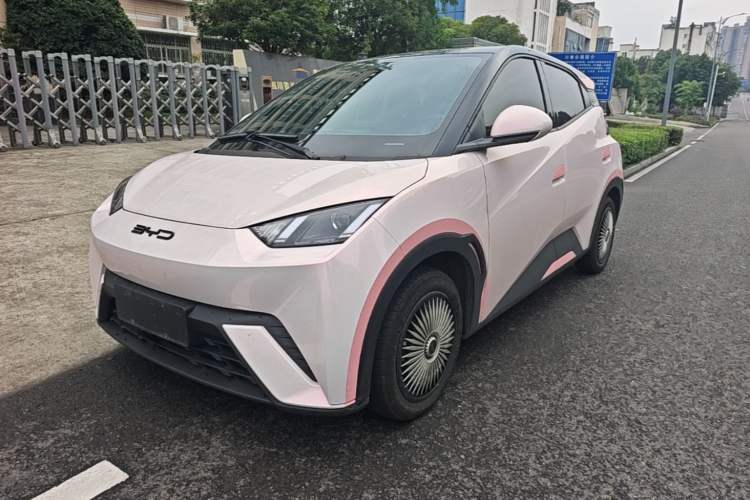 Used BYD Seagull 2024 Honor Edition 305km Dynamic Version