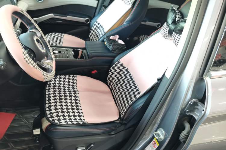 Used BYD Yuan PLUS 2022 510 km Flagship Version