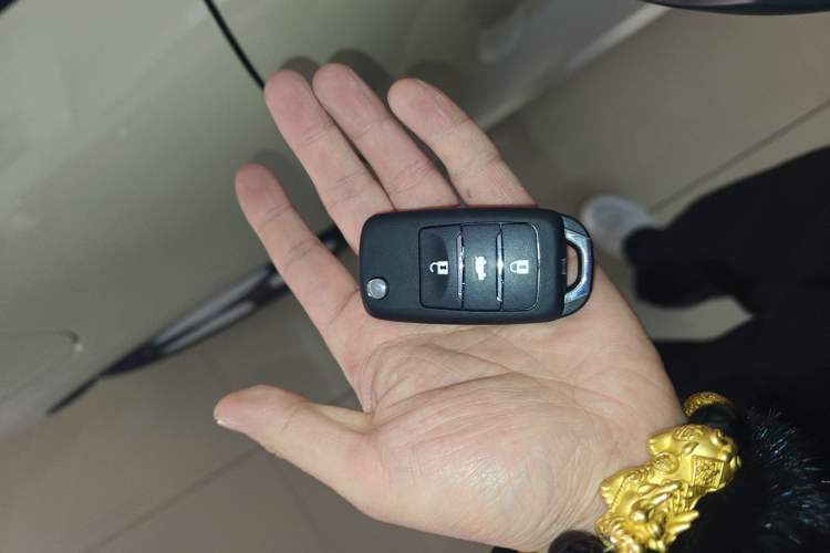 Used Qiyuan Lumin 2025 205 km Xiangqin Version