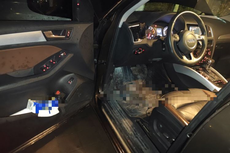 Used Audi Q5 2018 Collector's Edition 40 TFSI Technology Model