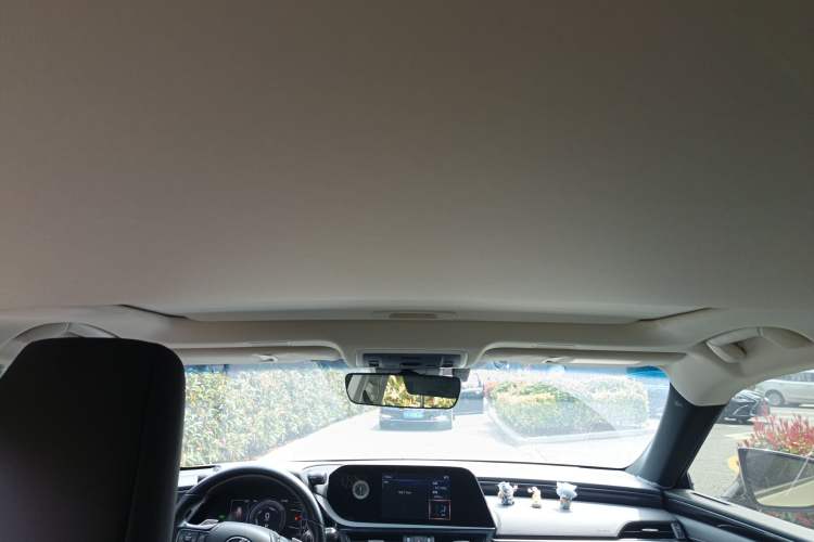 Used Lexus ES 2021 300h Excellence Edition Headliner