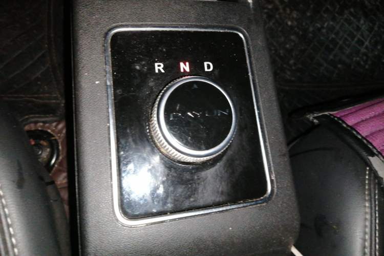 Used Dayun Yuehu 2022 30.66 kWh Two-Wheel Drive Standard Version
