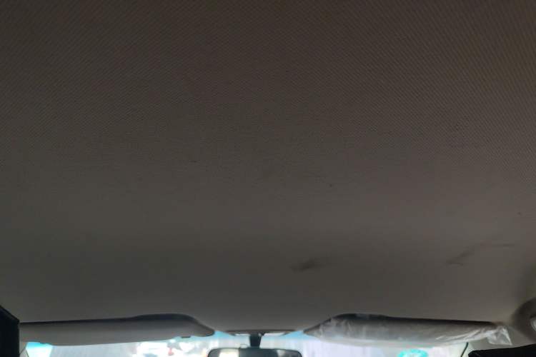 Used Baojun 310W 2017 1.5L Manual Comfort Version China V Headliner