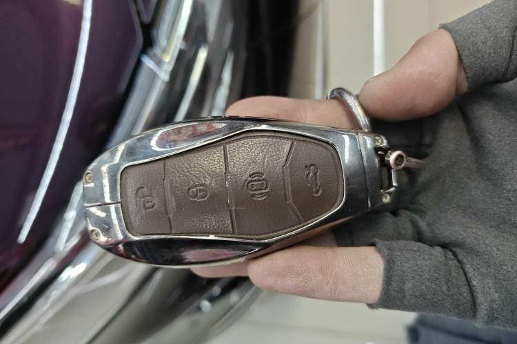 Used Hongqi HQ9 2023 2.0T Smart Connect Flagship Edition