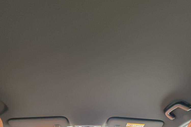 Used NETA X 2023 500 Lite Headliner