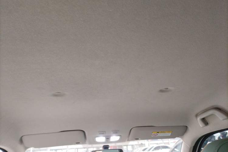 Used ORA White Cat 2020 305 km Luxury Version Headliner