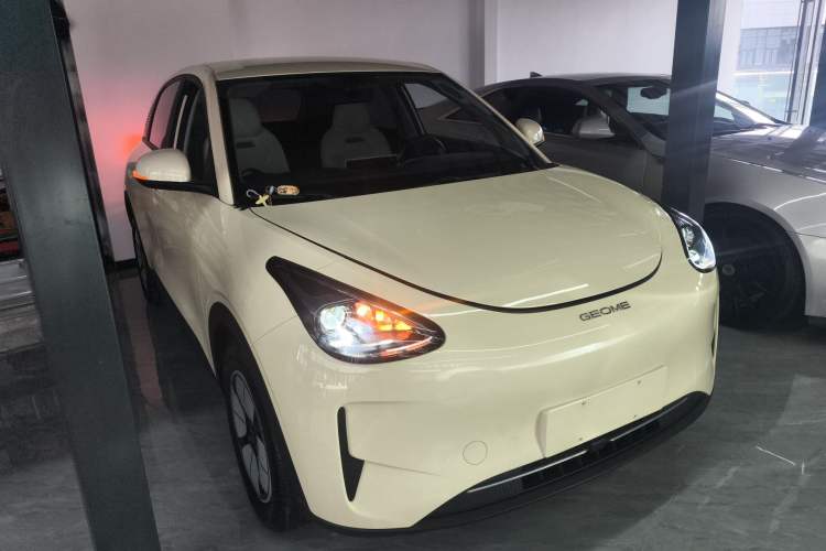 Used Geely Galaxy Geome 2025 310km Youth Edition Exterior 1