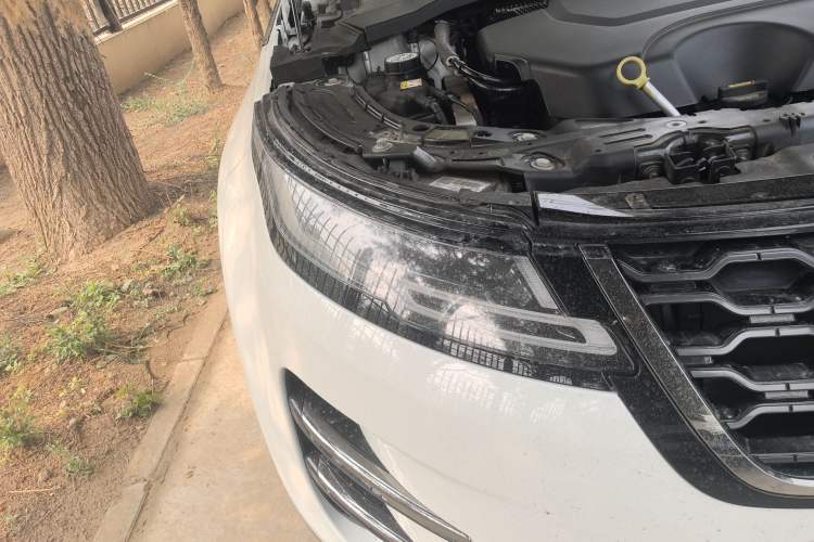 Used Land Rover Range Evoque 2023 Aurora L 249 PS Luxury Edition
