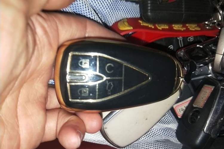 Used Oshan X5 2021 1.5T DCT Flagship Edition
