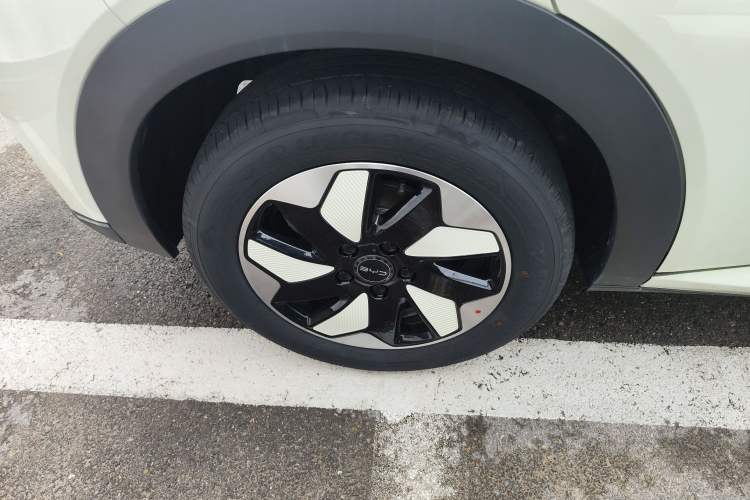 Used BYD Dolphin 2025 420km Free Edition