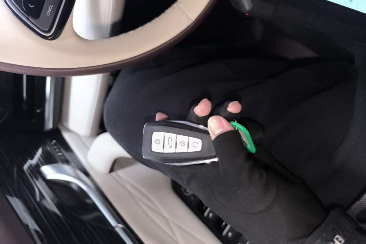 Used Geely Auto Monjaro L 2021 2.0TD High-Power Automatic All-Wheel-Drive Flagship Version