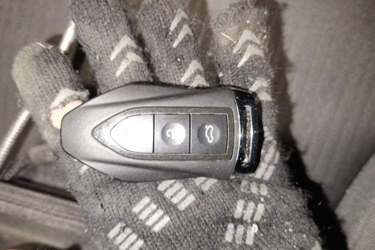 Used Leopaard CS9 2017 1.5L Manual Fashion Model
