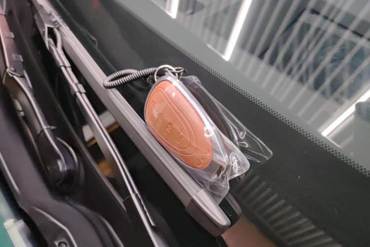 Used Wey Lanshan 2025 Four-Wheel Drive Max
