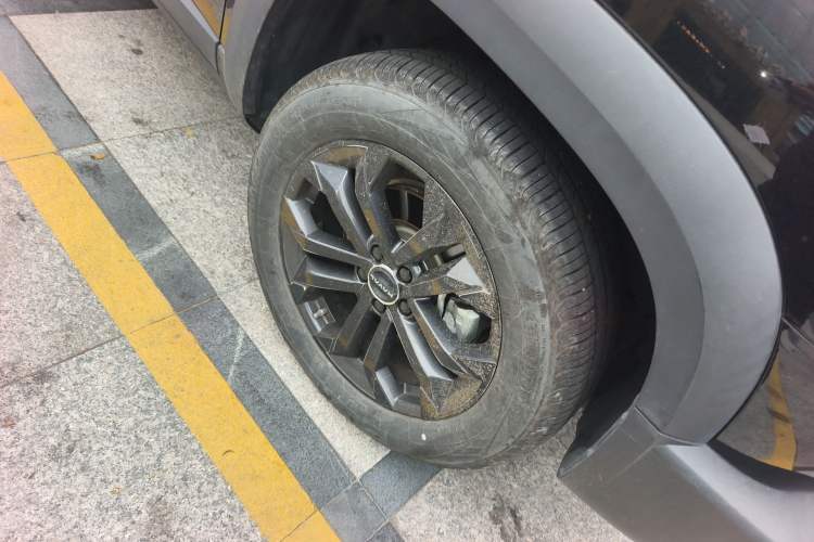 Used Haval DARGO 2022 1.5T DCT Two-Wheel Drive Border Collie Edition
