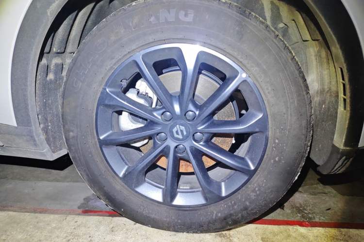 Used Leapmotor C11 2023 Pure Electric 500 Comfort Edition
