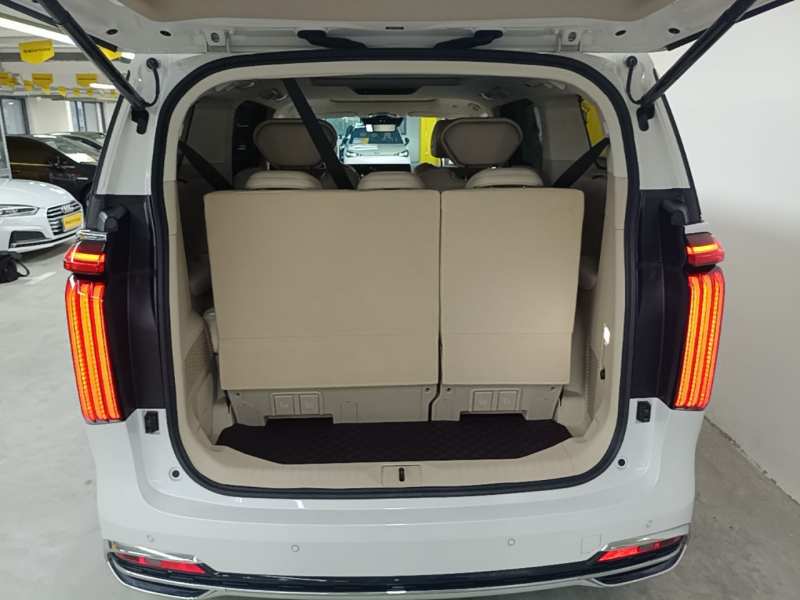 Used Wey Gaoshan 2023 Four-Wheel Drive Flagship Edition — 18