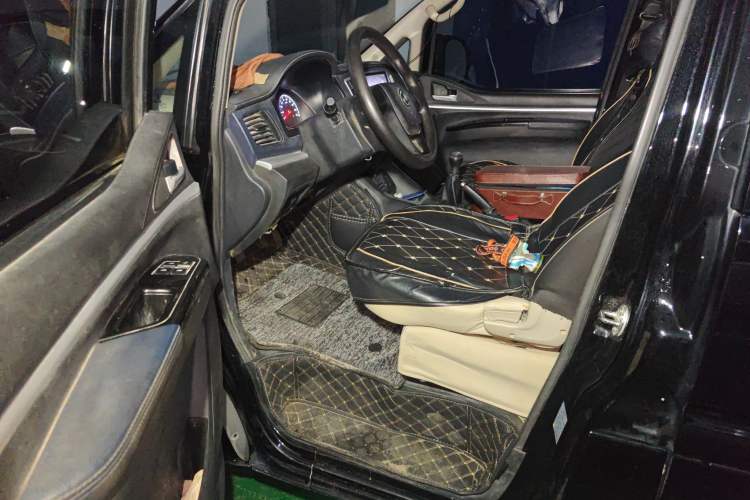 Used FORTHING Lingzhi 2020 M5 1.6L Practical Model