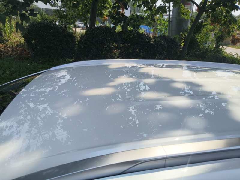 Used AION Y 2023 Younger — 26