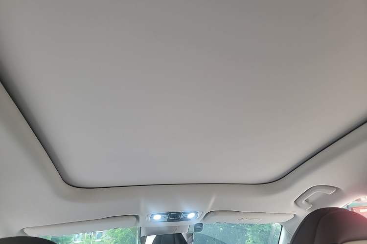 Used Leapmotor C11 2023 Pure Electric 500 Smart Edition