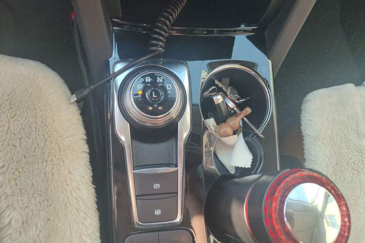 Used Ford Escape 2020 EcoBoost 245 Four-Wheel Drive Luxury Edition Gear Lever