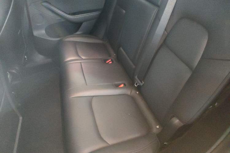 Used Tesla Model Y 2021 Standard Range Rear-Wheel Drive Version Left Rear Seat