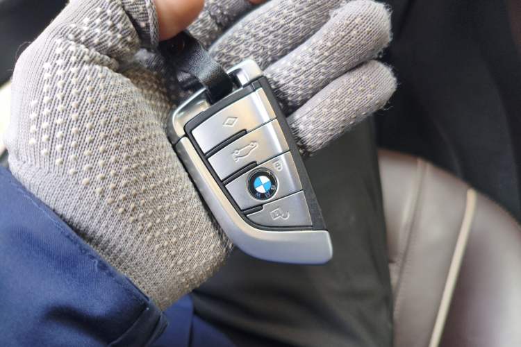 Used BMW 5 Series New Energy 2019 530Le Luxury Package
