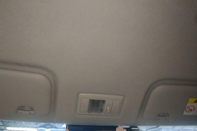 Used Qiyuan Lumin 2023 205km Xiangqin Version
