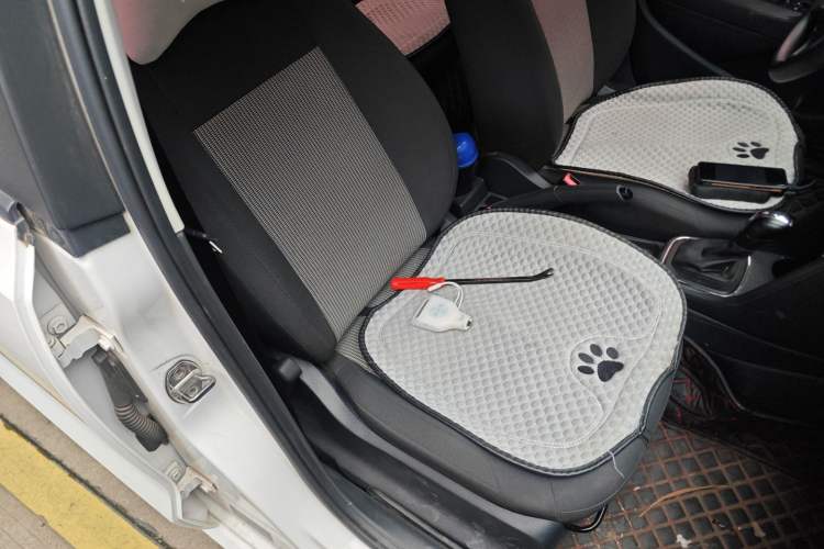 Used Volkswagen Polo 2018 1.5L Automatic Advanced Driving Model Right Front Seat