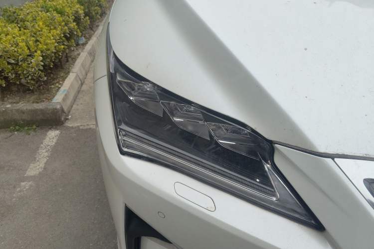 Used Lexus RX 2016 300 4x4 Elegant Edition China V-standard
