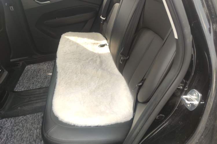 Used Wuling Xingguang 2023 150 Advanced Edition Left Rear Seat